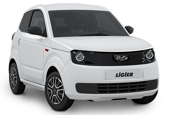 Paire Liners Housses de Siège S / Mesure Aixam Ligier Minicar